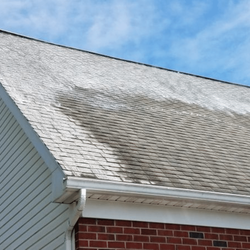 Roof Washing Genesee County NY